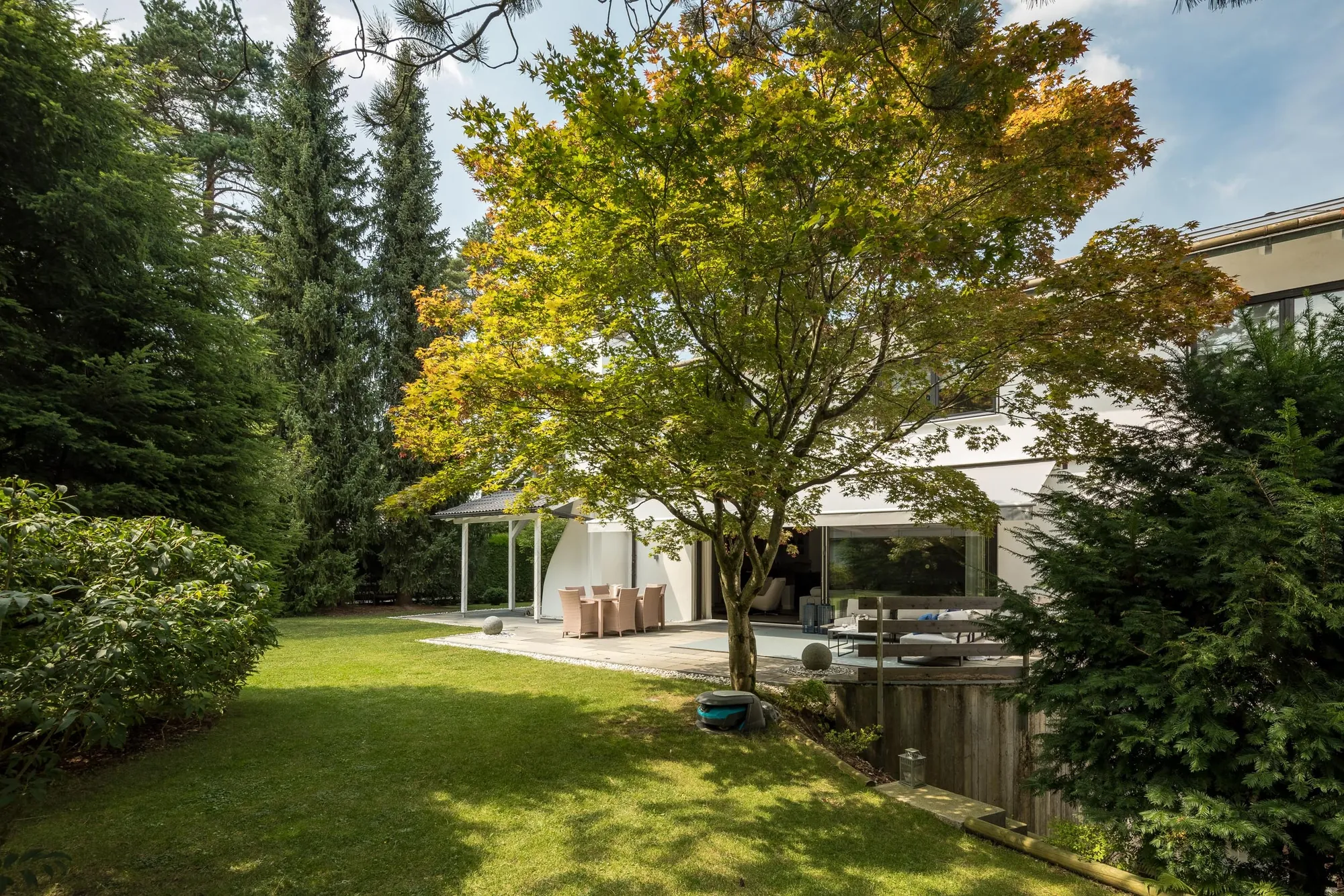 Garten mit Ahorn und Blick auf die Terrasse