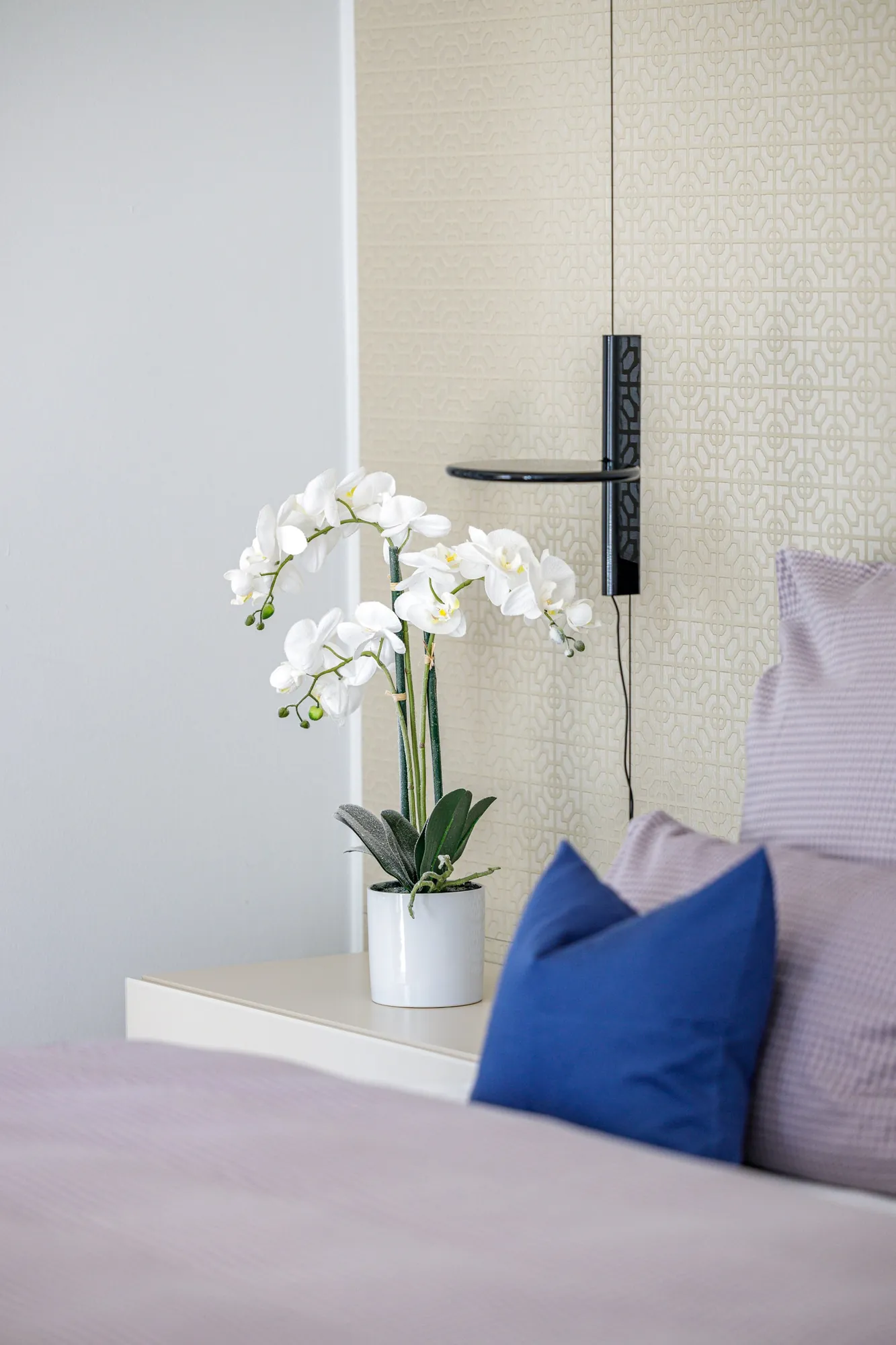 Orchidee am Fenster im Detail
